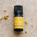 Huile Essentielle Immortelle Corse BIO