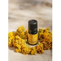 Huile Essentielle Immortelle Corse BIO