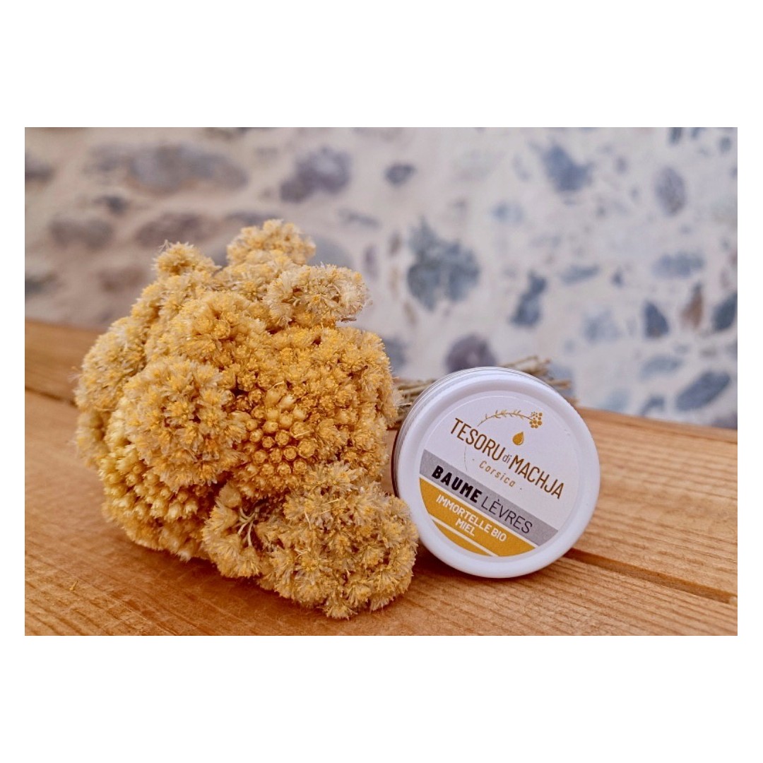 Baume lèvres Immortelle BIO & Miel