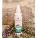Hydrolat Romarin à Verbénone BIO